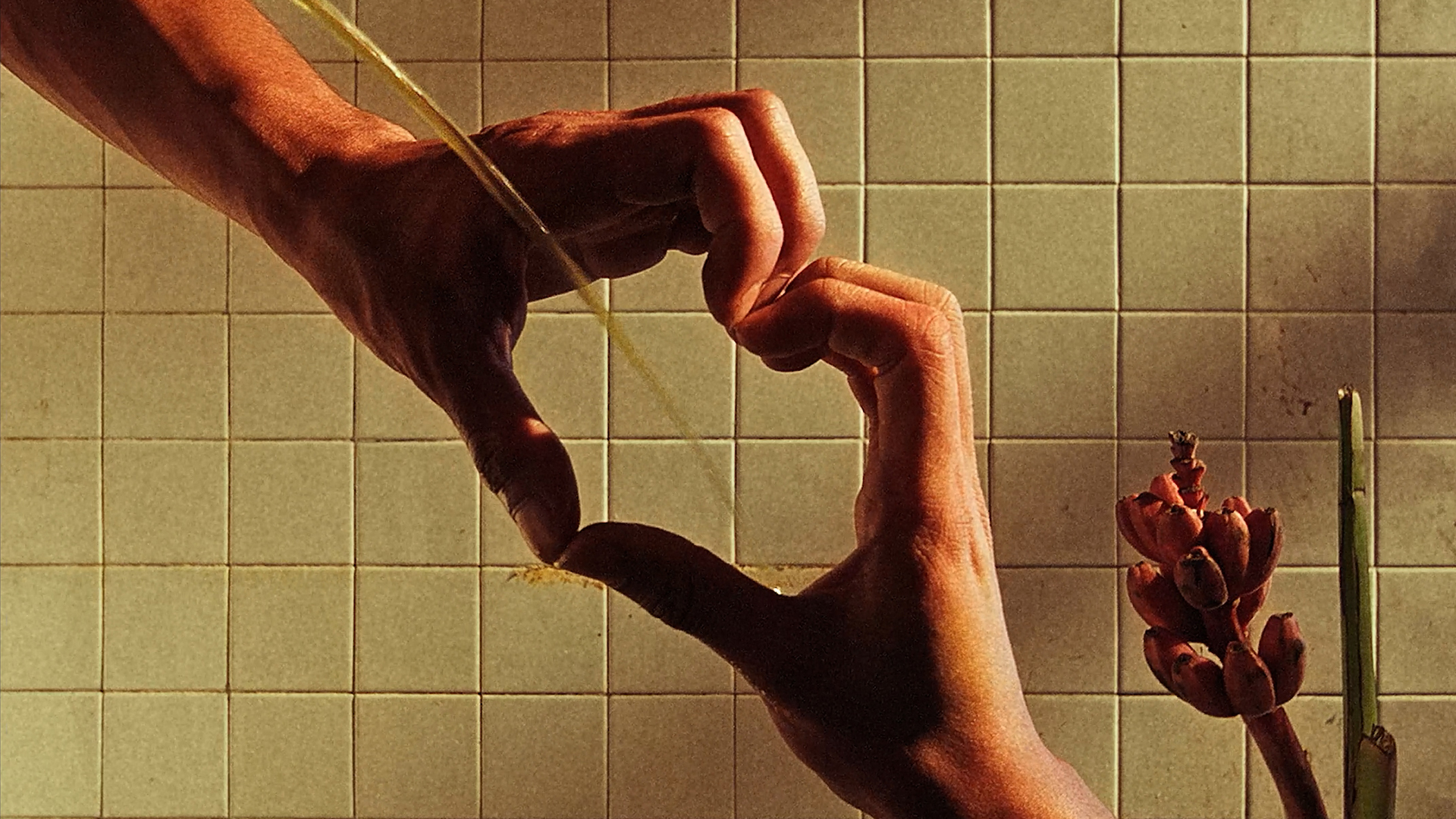 New Frequencies: Short Films of Youth and Whimsy